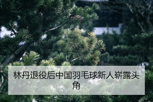 lin-dan-tui-yi-hou-zhong-guo-yu-mao-qiu-xin-ren-zhan-lu-tou-jiao-2-183.jpg