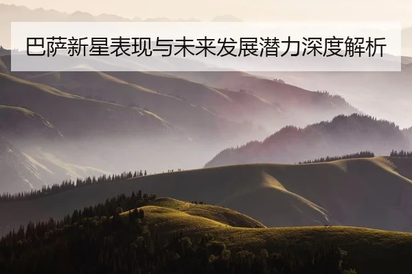 ba-sa-xin-xing-biao-xian-yu-wei-lai-fa-zhan-qian-li-shen-du-jie-xi-2-813.jpg